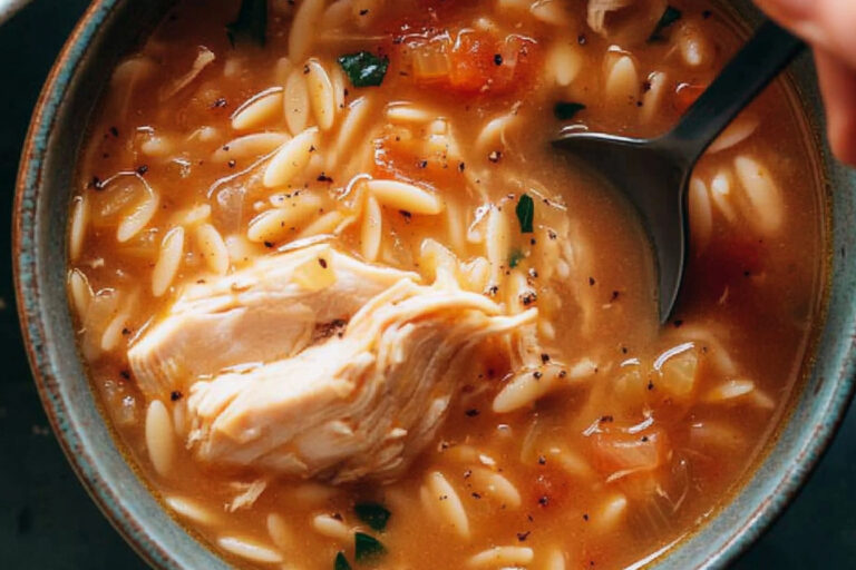 Sopa de pollo con orégano